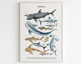Shark Print, Educational prints, Shark Species, Marine Animals poster, Sharks Educational Illustration, Sharks Chart Print, DIGITAL DOWNLOAD