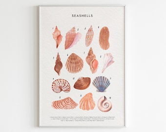 Seashells Nursery Print, Beach Nursery Decor, Watercolor Seashells Wall Art, Coastal Home Decor, Coastal Nursery Seashell Educational Print