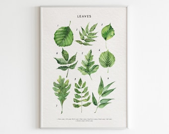 Tree Leaves Educational Poster: Montessori Nursery Art (Digital Download)