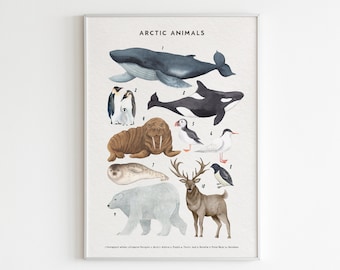 Arctic Animals Nursery Print, Nursery Wall Art, Kids Montessori Educational Posters, Nursery Educational Art for Kids Room