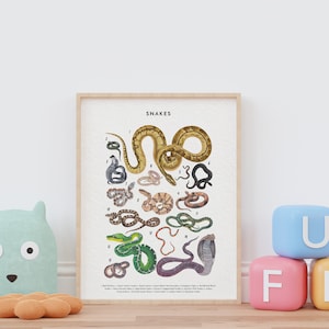 Snakes Poster, Snake Lover Gift, Snake Art Print, Knowledge Poster, Educational Poster, Types Of Snakes Poster image 3
