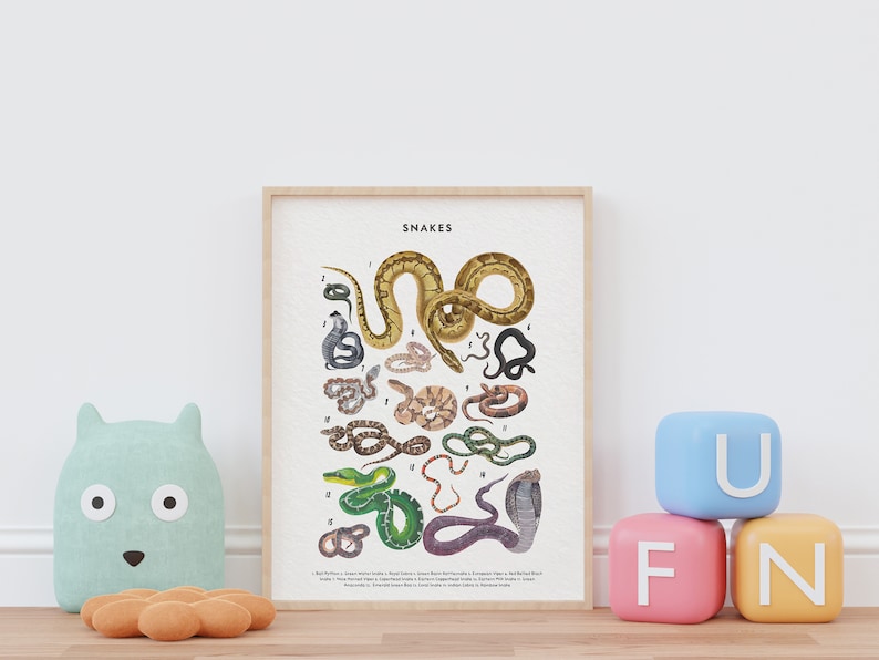 Snakes Poster, Snake Lover Gift, Snake Art Print, Knowledge Poster, Educational Poster, Types Of Snakes Poster image 3