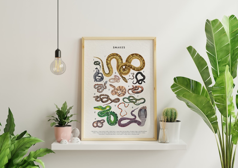 Snakes Poster, Snake Lover Gift, Snake Art Print, Knowledge Poster, Educational Poster, Types Of Snakes Poster image 2