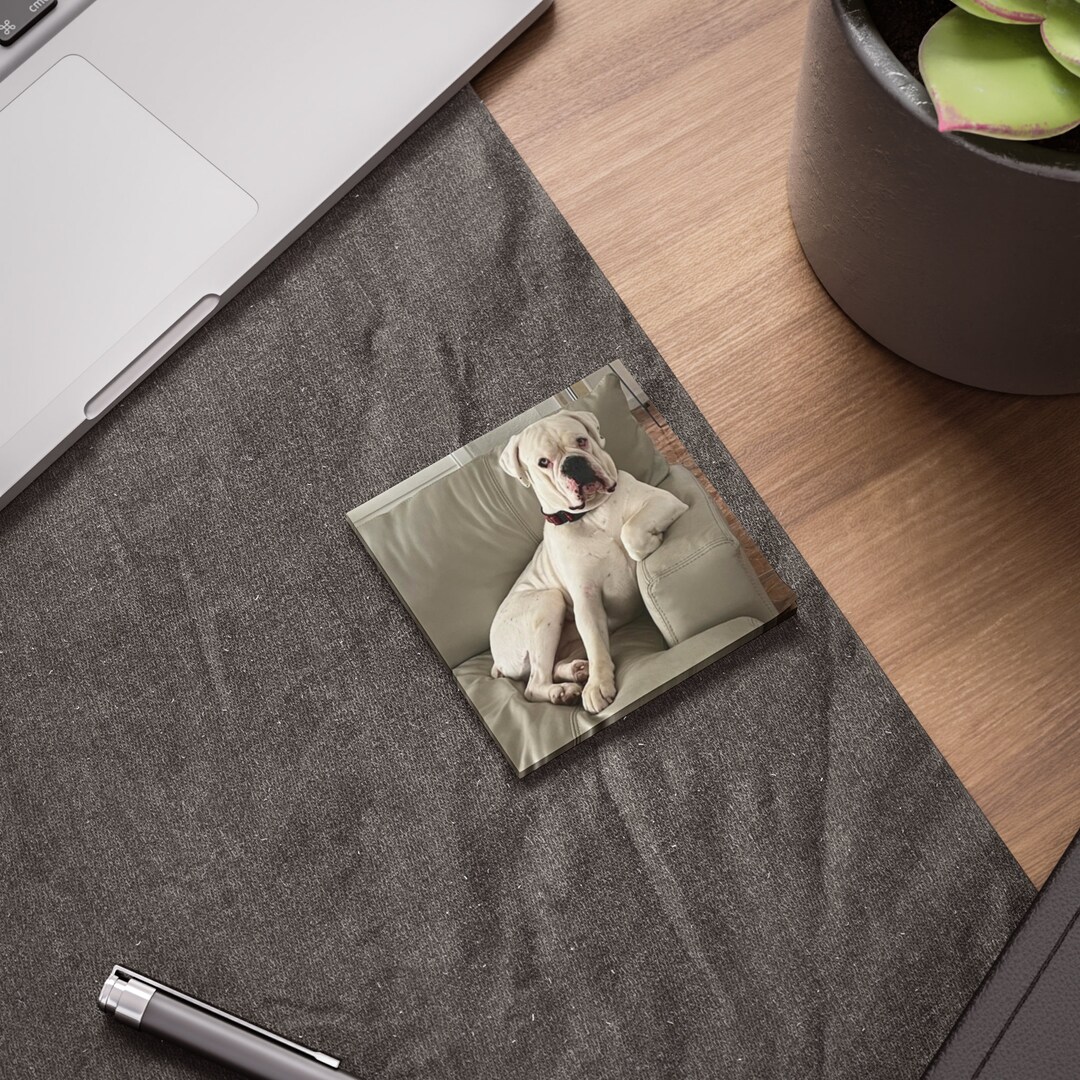 Custom Photo Sticky Notes, Custom Sticky Note, Photo Sticky Note