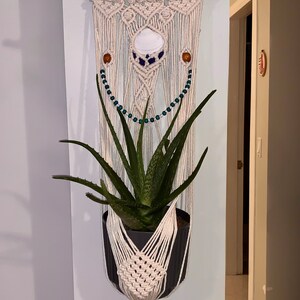 May include: A white macrame plant hanger with a wooden dowel at the top. The hanger has a small, round, white shell in the centre and is decorated with blue and brown beads. A green aloe vera plant is growing in a grey pot inside the hanger.