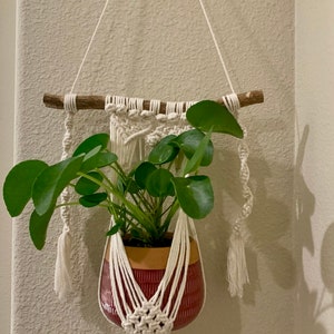 May include: A white macrame plant hanger with a wooden dowel and a terracotta pot with a green plant hanging from it.