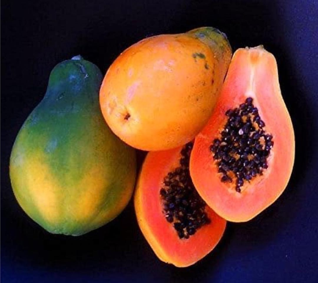 Hawaiian Strawberry Papaya Seeds Fresh 25 Seeds*non GMO *no Pesticides. Exotic Fruit Seeds. Tropical Organic Grown - Etsy