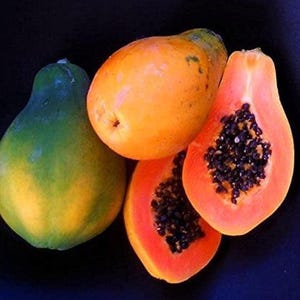Hawaiian Strawberry papaya seeds Fresh 25 seeds*Non GMO *No pesticides. Exotic Fruit seeds. Tropical organic grown