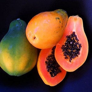 Hawaiian Strawberry papaya seeds Fresh 25 seeds*Non GMO *No pesticides. Exotic Fruit seeds. Tropical organic grown