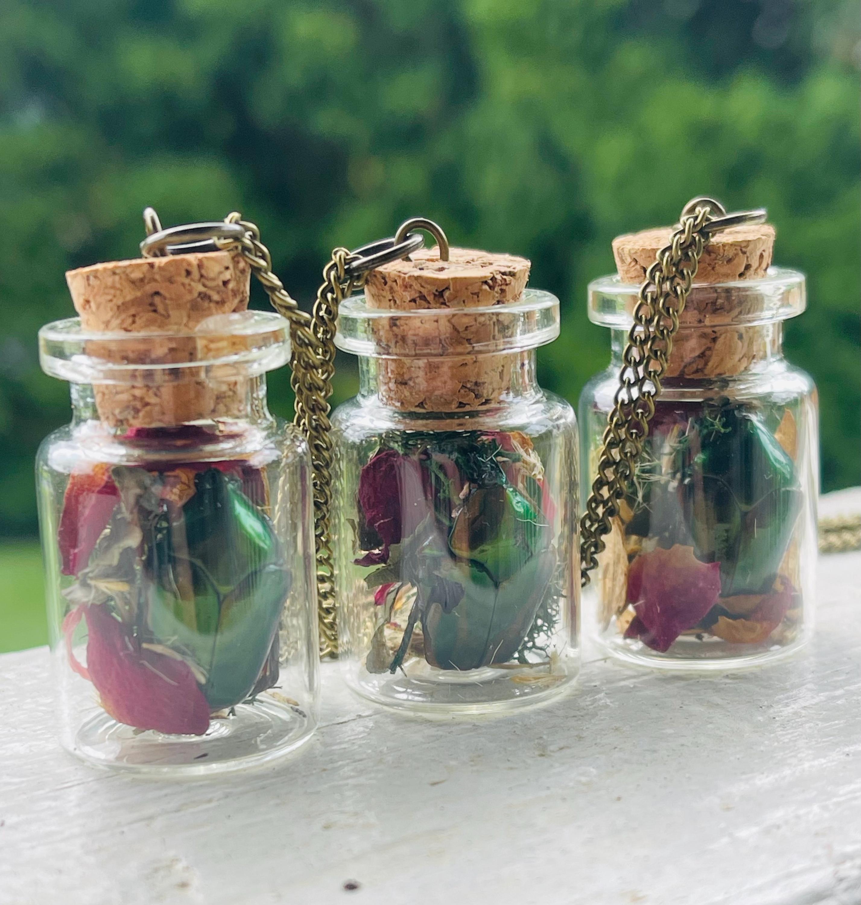 June Bug Necklace - Etsy June Bug Necklace - Etsy