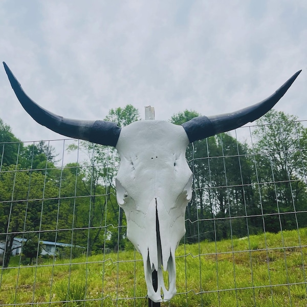 REAL Longhorn Skull Black and White with Paisley Leather Fabric