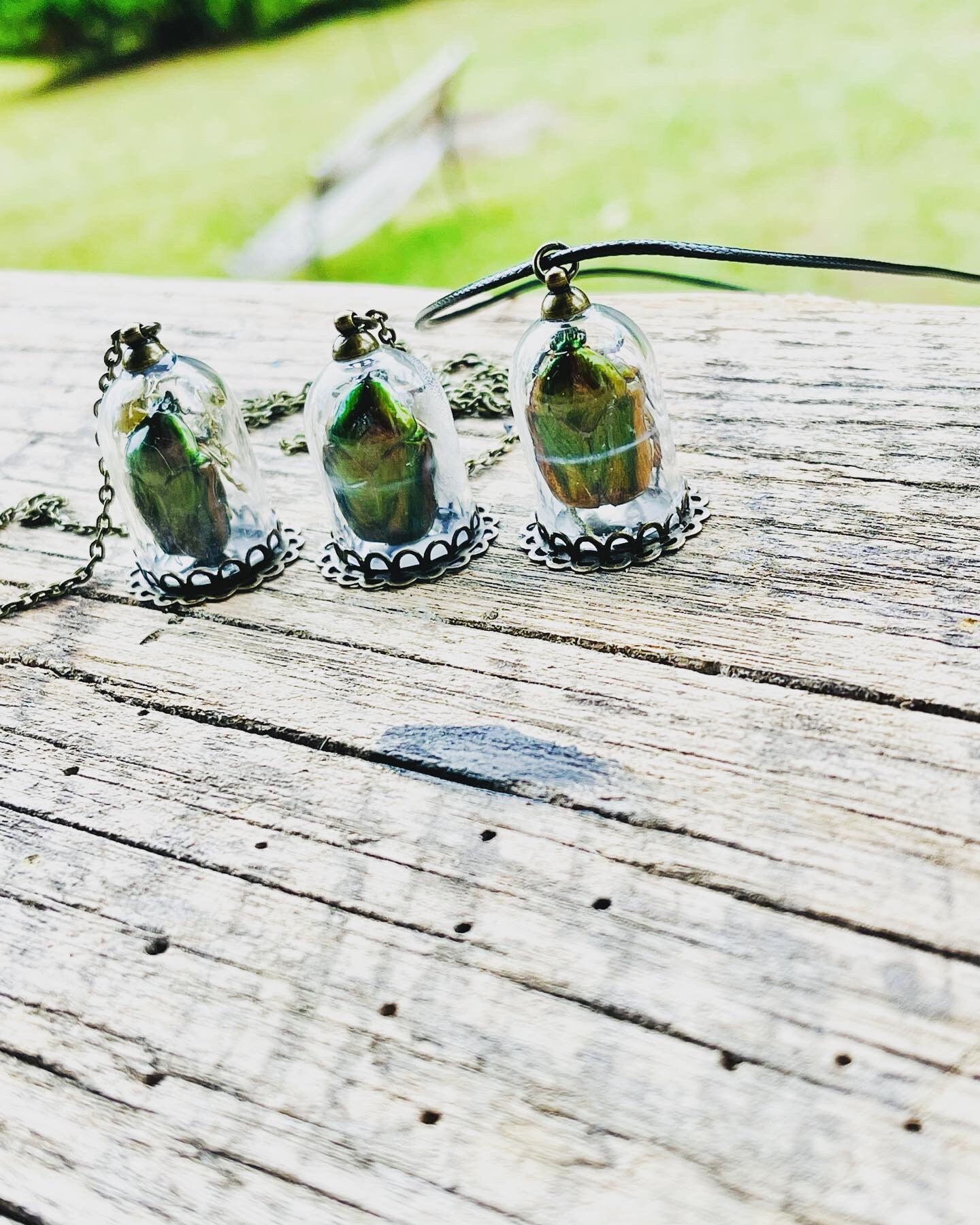 REAL June Bug Necklaces in Found Object Charms With Dried