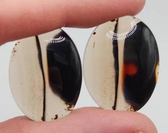 TK Montana Scenic Agate Matching Cabochons