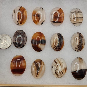 TK High Quality Montana Agate Cabochon image 3