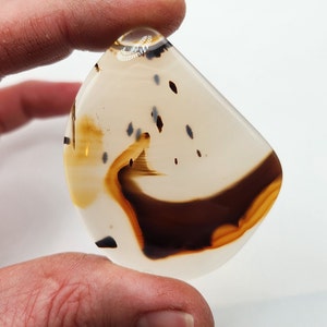 Könnte beinhalten: Ein tropfenförmiger Achat-Cabochon mit braunen, weißen und schwarzen Bändern. Der Achat ist durchscheinend und auf Hochglanz poliert.
