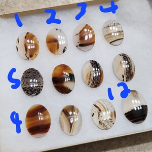 TK High Quality Montana Agate Cabochon image 5