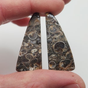 TK Turritella Agate Matching Set