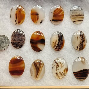 TK High Quality Montana Agate Cabochon image 2