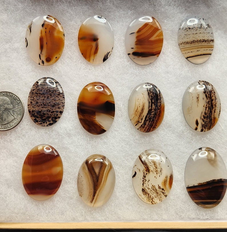 TK High Quality Montana Agate Cabochon image 2