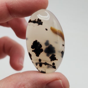Könnte beinhalten: Ein weißer Achat-Cabochon mit schwarzen dendritischen Einschlüssen. Der Stein ist oval geformt und hat eine glatte, polierte Oberfläche.