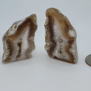 TK Unique Montana Quartz Agate Polished Halves