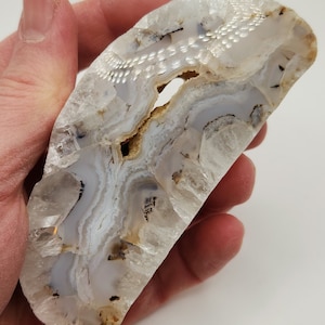 TK Unique Montana Quartz Agate Hagstone Polished Halves
