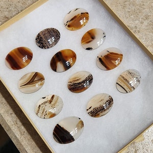 TK High Quality Montana Agate Cabochon image 1