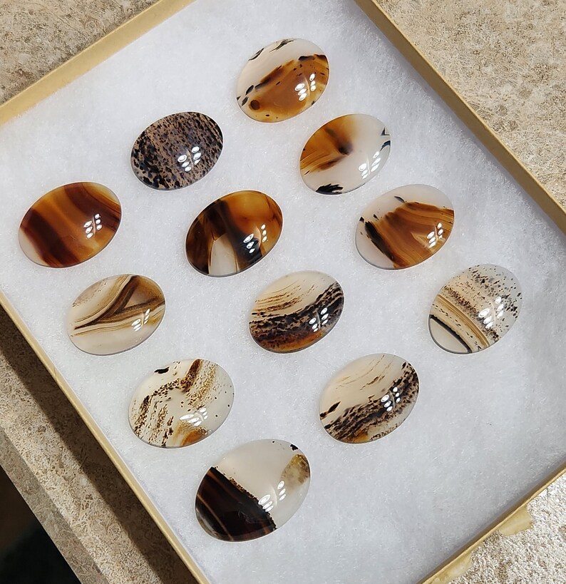 TK High Quality Montana Agate Cabochon image 1