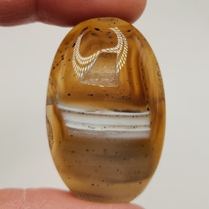 Könnte beinhalten: Ein brauner Achat-Cabochon mit weißen Bändern und braunen Einschlüssen. Der Achat hat ein einzigartiges Muster, das einem stilisierten Vogel ähnelt.