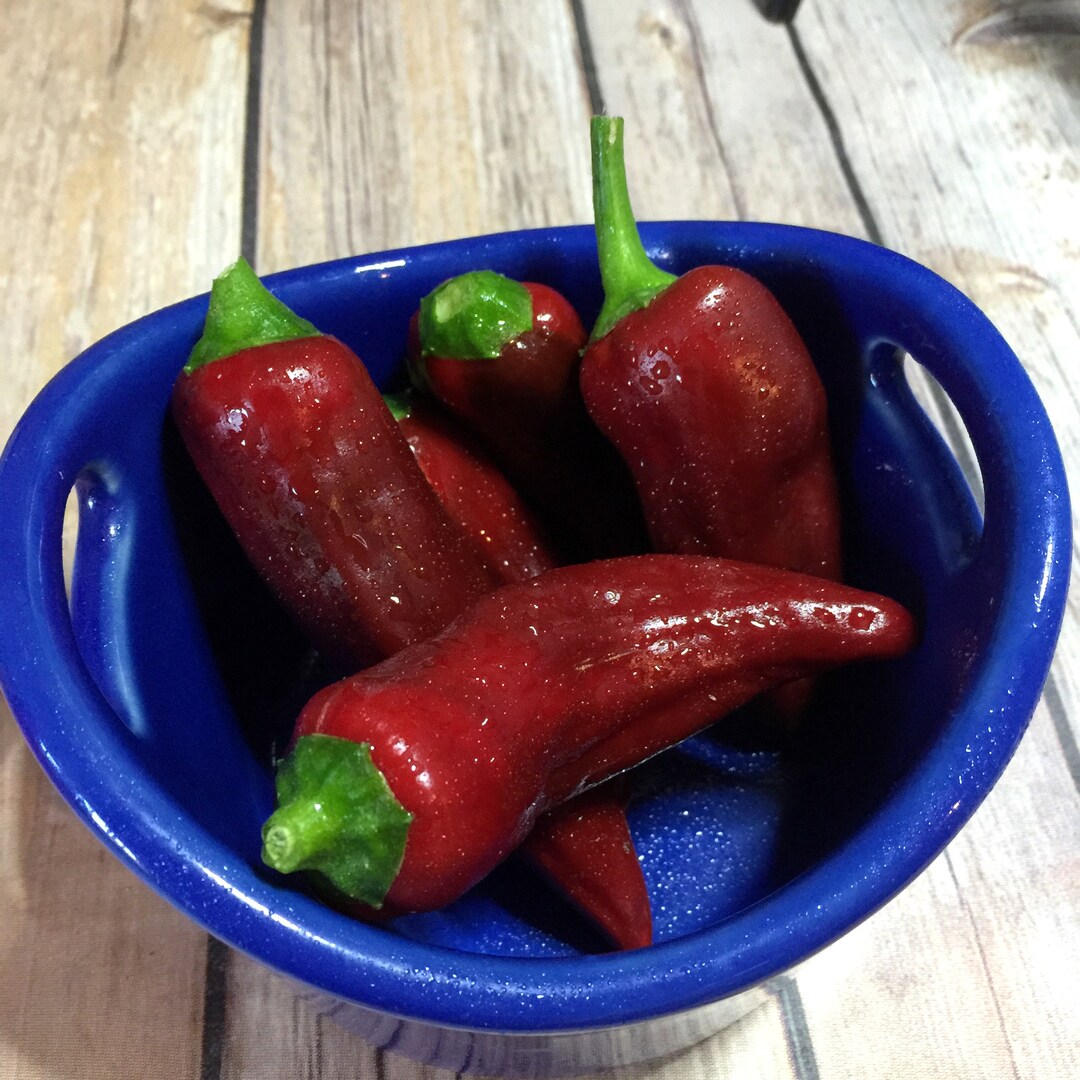Paprika Pepper Seeds, Gourmet Cooking Peppers, Sweet Red Pepper Seeds Etsy