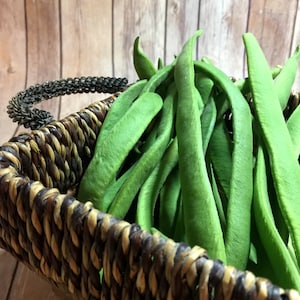 Scarlet Runner beans, Pole string beans, Perennial bean seed