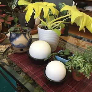 Plant humidifier, modern plant décor, table top humidity dome