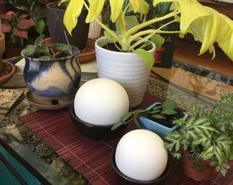 Plant humidifier, modern plant décor, table top humidity dome