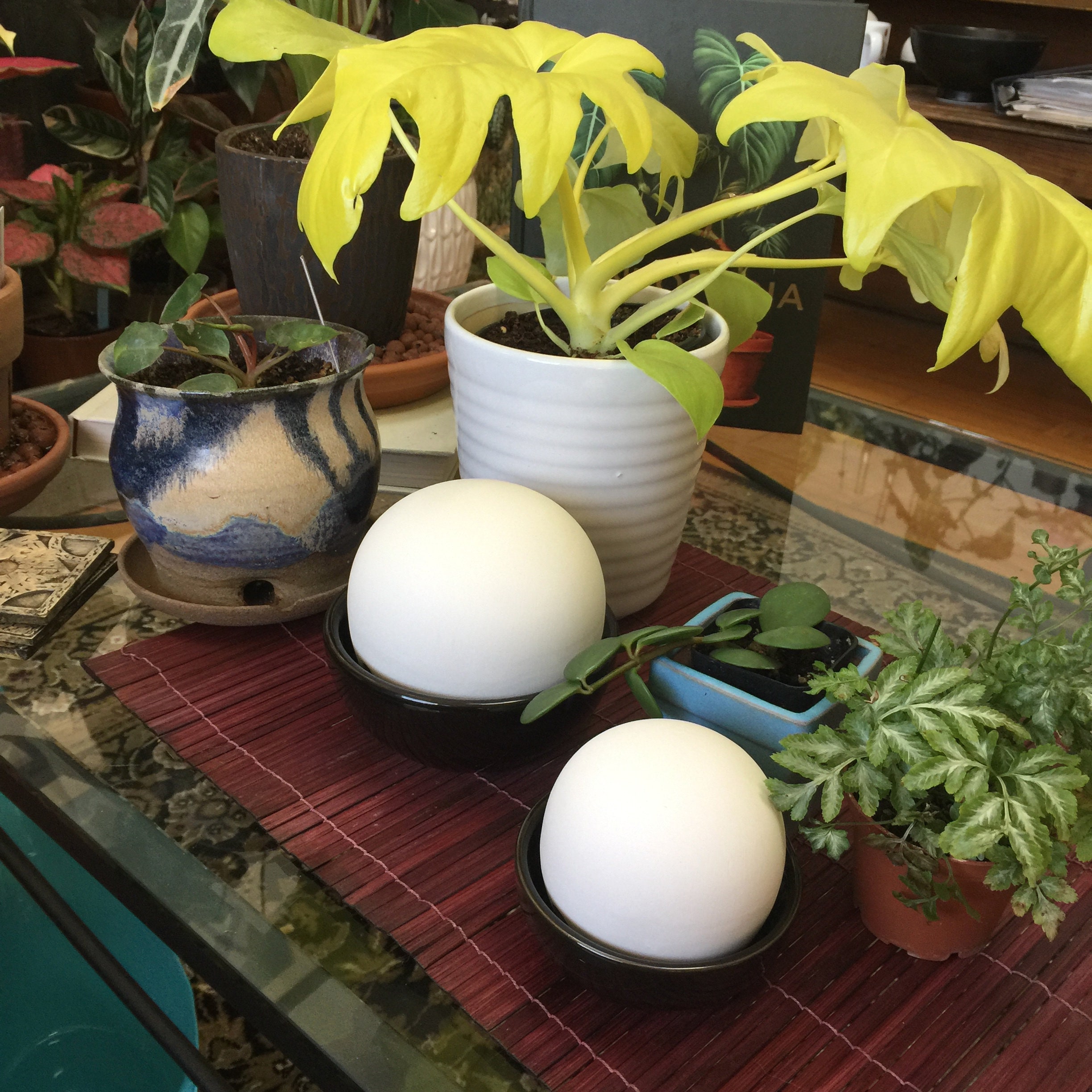 moderne air humidificateur sur table dans vivant pièce plein de les plantes.  espace pour texte 35763690 Photo de stock chez Vecteezy