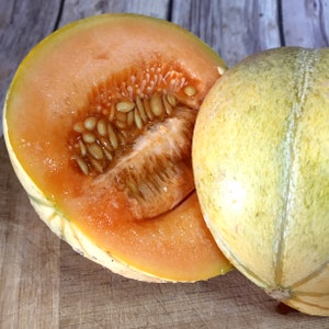D&#39;Artagnan melon seeds, Small sweet cantaloupe, 15 organic melon seeds