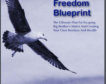 Freedom Blueprint eBook: Personal Empowerment & Financial Independence (PDF)