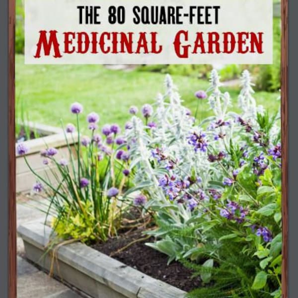 80 Quadratfuß Heilgarten Kleine Gartenarbeit Pflanzliche Heilmittel Hausgemachte Medizin Naturheilkunde Urbane Gartenarbeit Selbst nachhaltig PDF