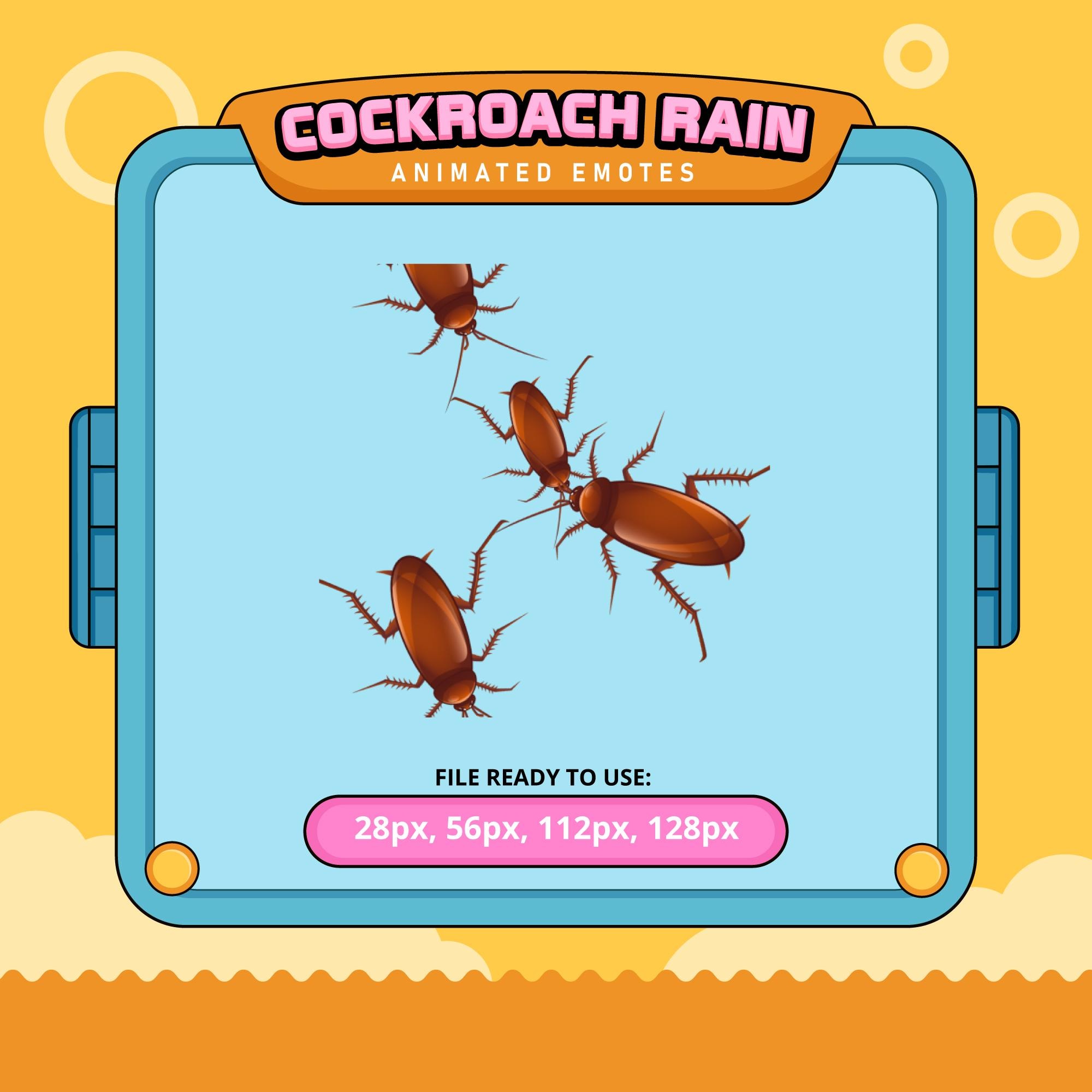 Live Cockroaches - Etsy, image size:2000x2000