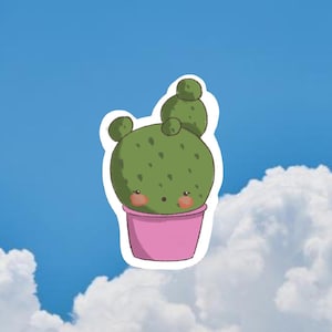 Adesivi a forma di cactus, set di adesivi in vinile kawaii divertenti e carini, regalo per gli amanti delle piante, adesivi per laptop, accessori per diari, appassionati di piante grasse