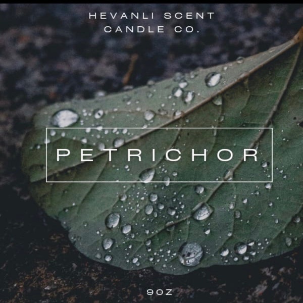 Petrichor Perfume - Etsy