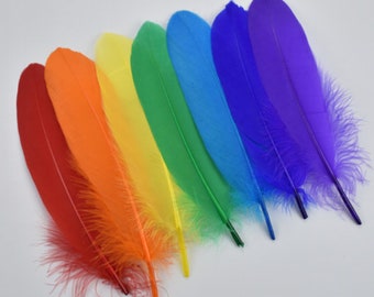 Colored Feather