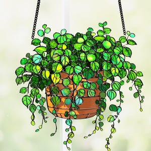 Op de afbeelding: Een glazen hangende plantenbak met een weelderige groene plant. De plant heeft kleine, ronde bladeren in groen- en geeltinten. De plantenbak is warmbruin van kleur en wordt opgehangen aan een zwarte ketting.