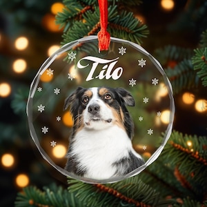 Personalized Pet Ornament,Puppy Picture Ornament,Dog Ornament,Cat Ornament,Pet Lover Gift,Pet Memorial,Christmas Ornament,Christmas Gift