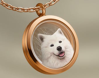 Collana Ricordo Per Animali Domestici – Medaglione In Acciaio Inox Con Ciondolo Portacenere O Peli – Oro E Argento (2 Pezzi)