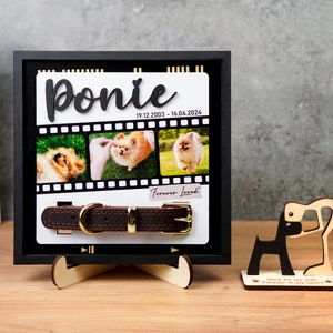 Custom Memorial Pet Collar With Photo, Pet Name Sign,Pet Collar Holder,Dog Memorial Frame,Dog Loss,Cat Memorial,Dog Collar Sign,Pet Sympathy