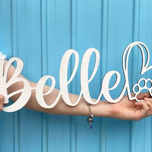 Custom Wooden Dog Name Sign, Cat Sign, Dog Gift, Cat Gift, Wood Wall Letter, Wood Lettering, Pet Name Wood Word, Home Decor, Dog House Decor