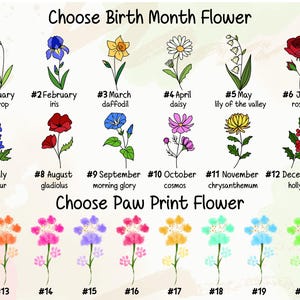 May include: A chart with illustrations of flowers representing each month of the year. The chart is titled "Choose Birth Month Flower". Below the chart is another chart with illustrations of paw print flowers titled "Choose Paw Print Flower".
