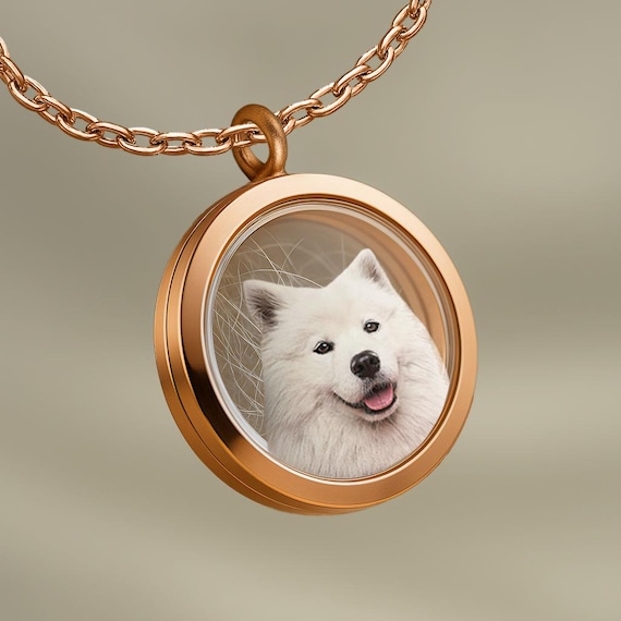 Dog Urn Keepsake Cat Fur Locket Necklace, Pet Hair Gift, Dog Hair Locket Necklace, Dog Cat Memorial, Pet Loss Memorial Jewelry