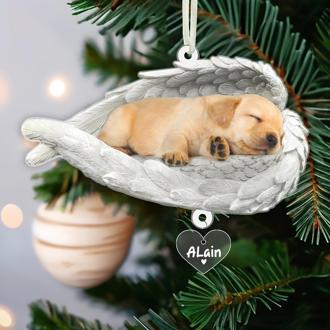 Pet Memorial Ornament Dog Pet Cat Loss 2D Sleeping Pet Within Angel ...