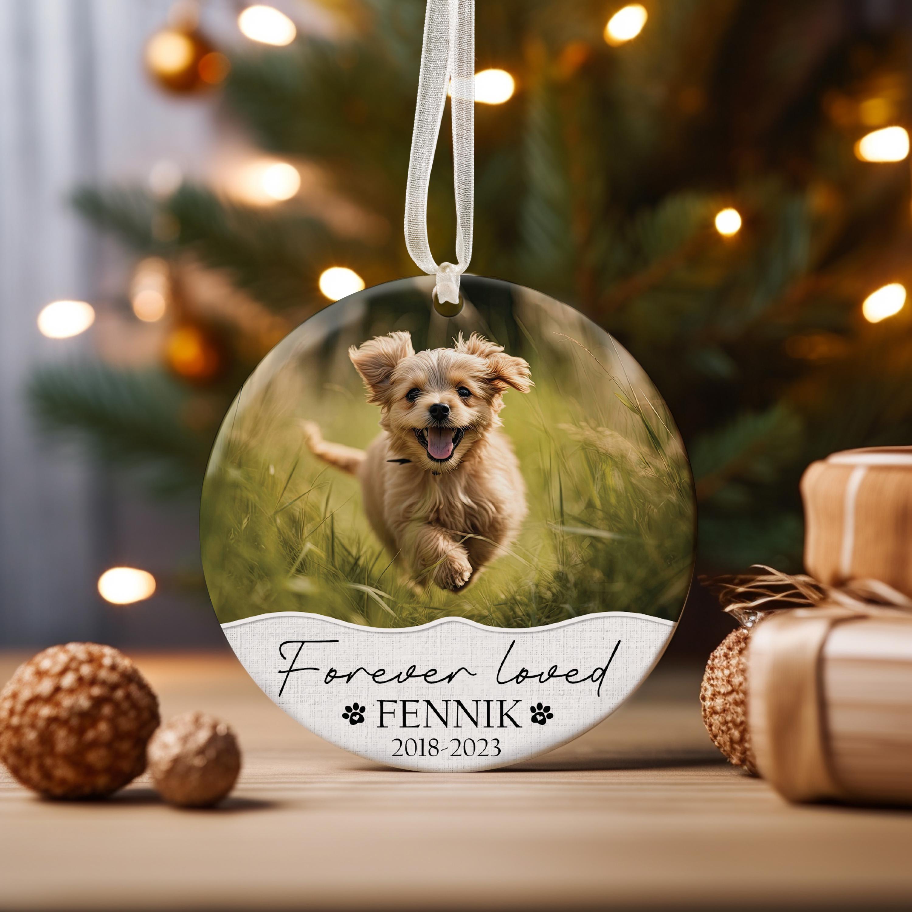 Pet Memorial Ornament Dog Cat Loss Sympathy Remembrance Gifts Christmas ...